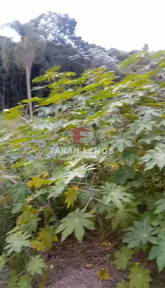 Terreno à venda na Terra PretaTerra Preta - 122434-2.jpg