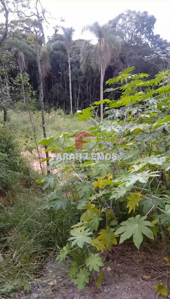 Terreno à venda na Terra PretaTerra Preta - 122435-3.jpg