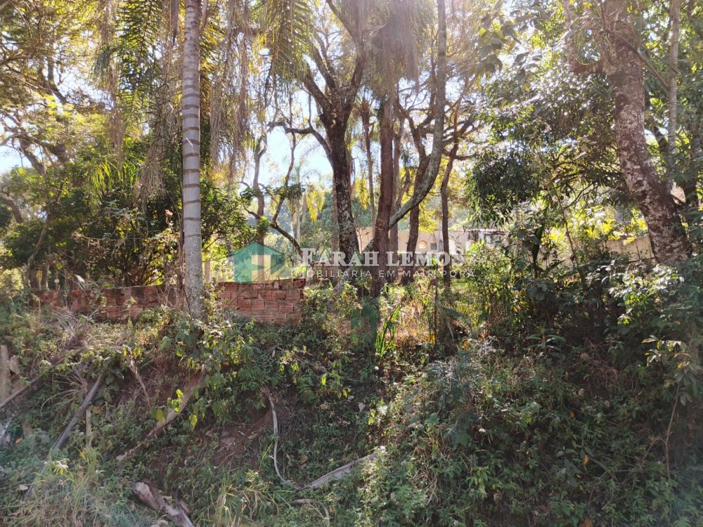 Terreno com Edícula à venda na Alameda da SelvaMato Dentro - 184349-1.jpg