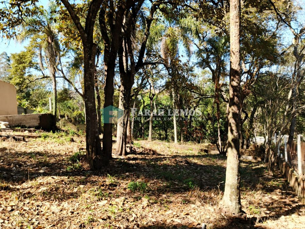 Terreno com Edícula à venda na Alameda da SelvaMato Dentro - 184350-4.jpg