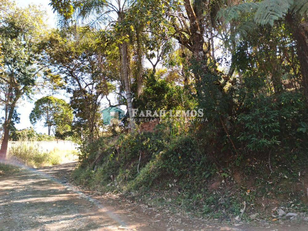 Terreno com Edícula à venda na Alameda da SelvaMato Dentro - 184350-6.jpg