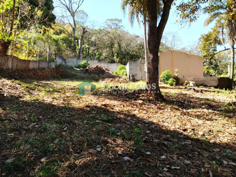 Terreno com Edícula à venda na Alameda da SelvaMato Dentro - 184351-8.jpg