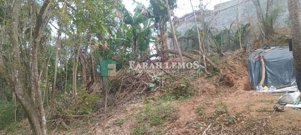 Terreno venda Parque da represa - Referência tpr2025