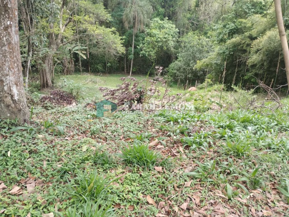 Terreno à venda Rancho Grande - 161256-1.jpeg