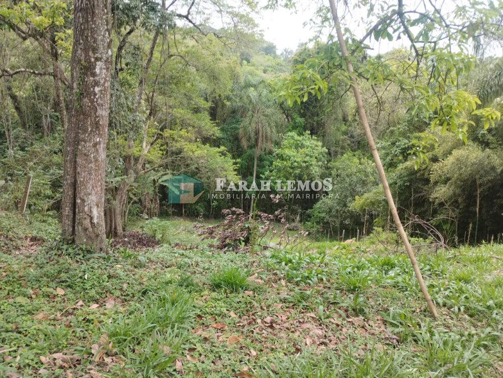 Terreno à venda Rancho Grande - 161256-2.jpeg