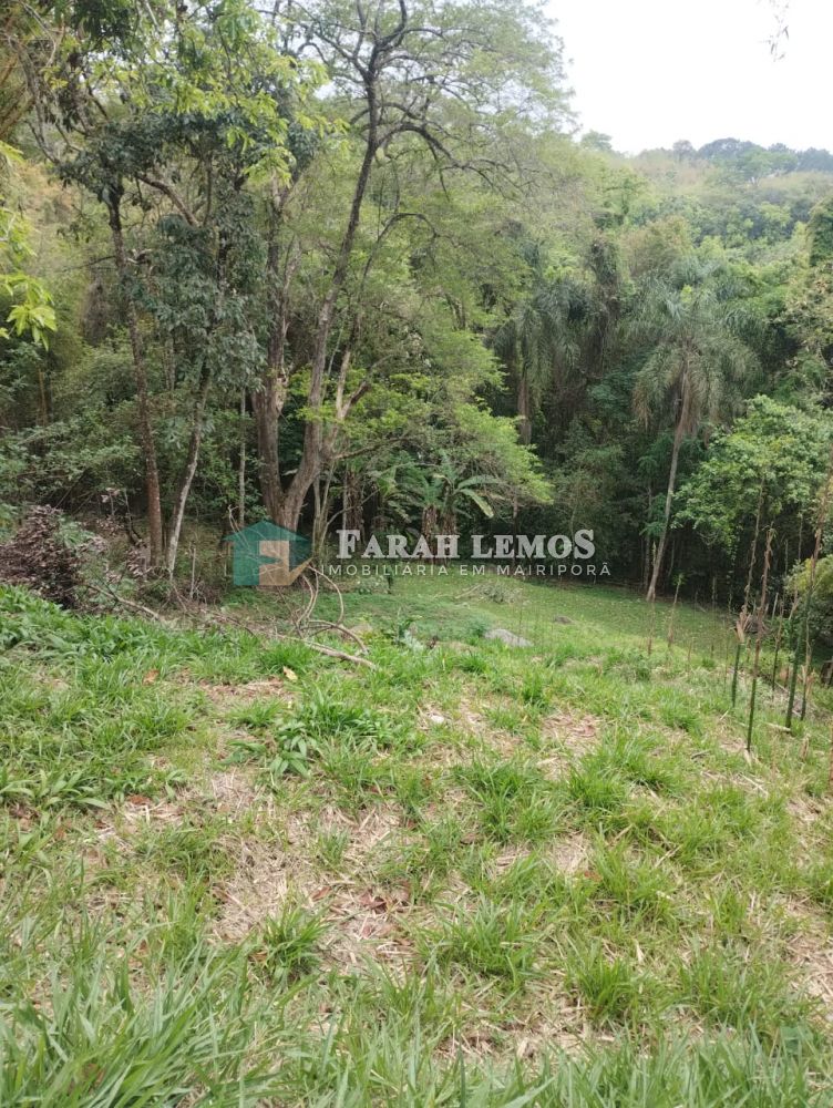 Terreno à venda Rancho Grande - 161256-3.jpeg