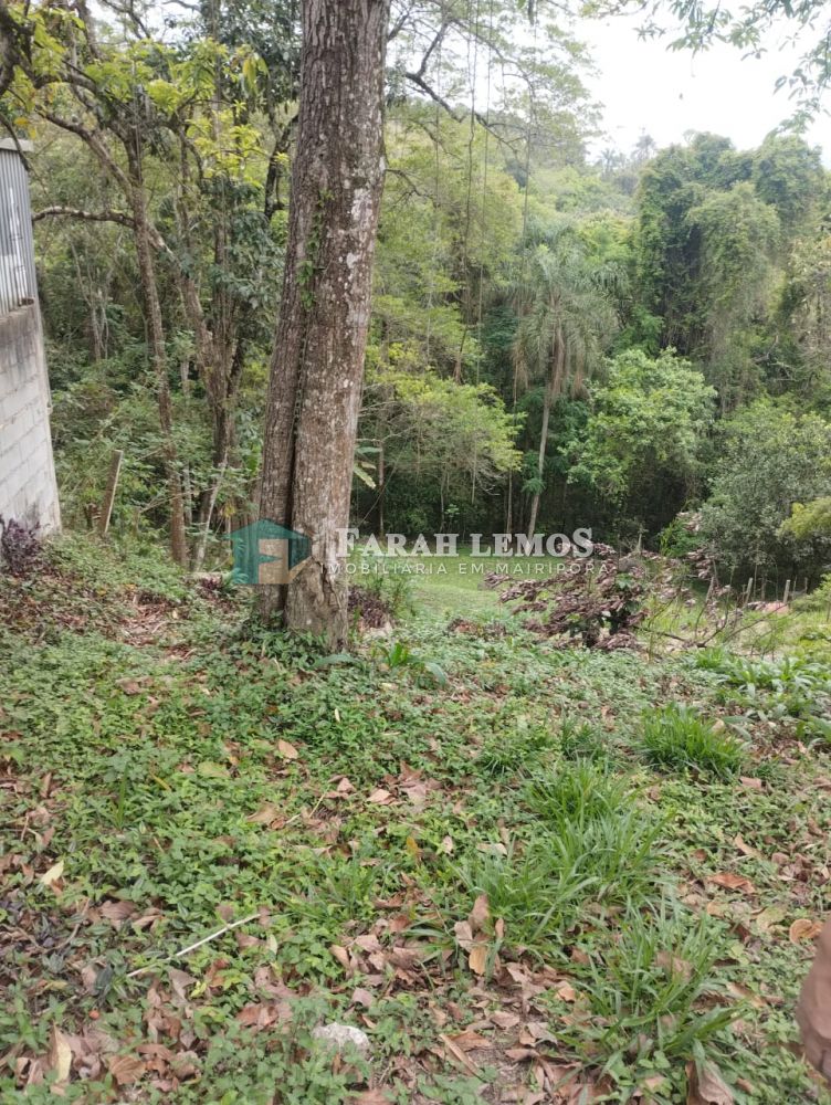 Terreno à venda Rancho Grande - 161256-4.jpeg