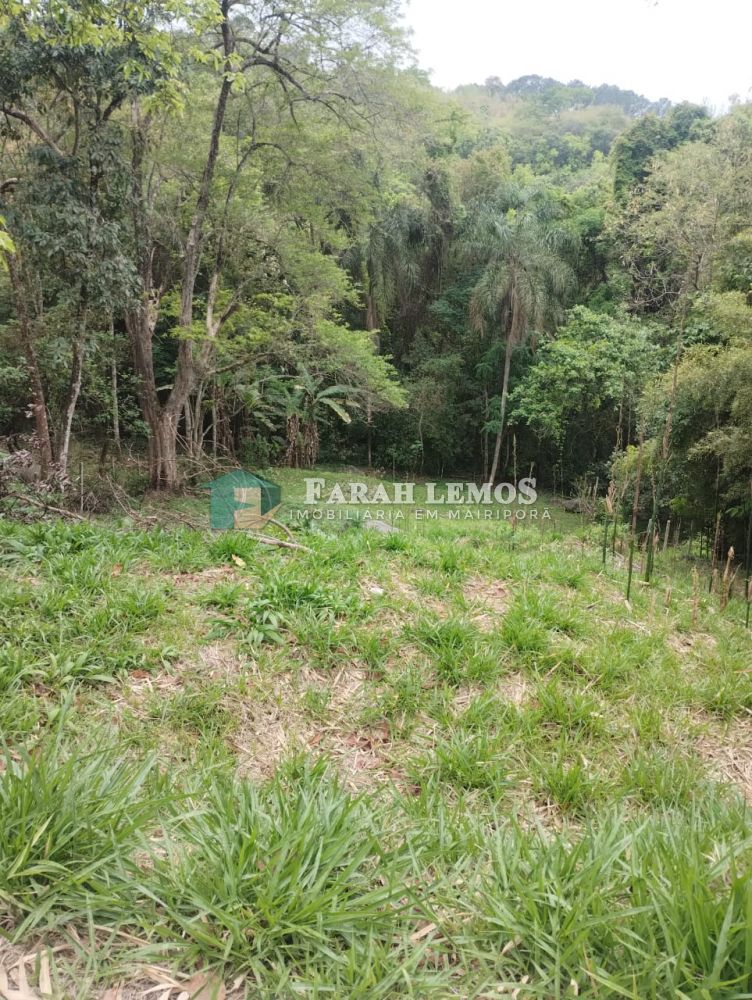 Terreno à venda Rancho Grande - 161257-5.jpeg