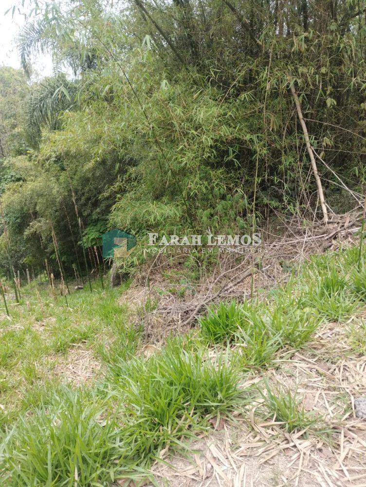 Terreno à venda Rancho Grande - 161257-6.jpeg