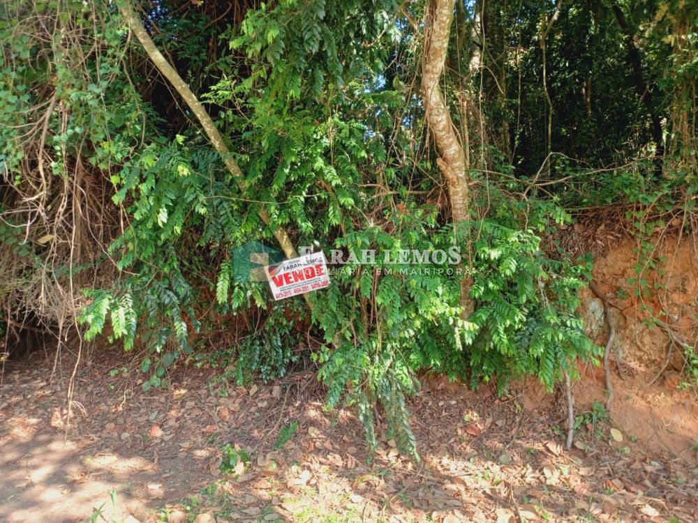 Terreno venda Alpes da Cantareira - Referência tac2025