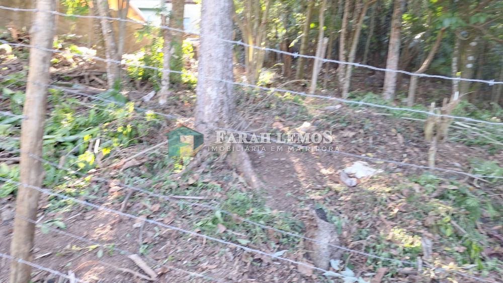 Terreno venda Centro - Referência TE161225