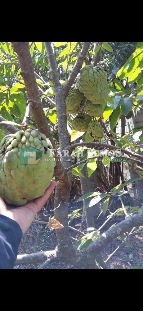 Casa em Condomínio à venda ...Sausalito - 999-143752-0.jpg