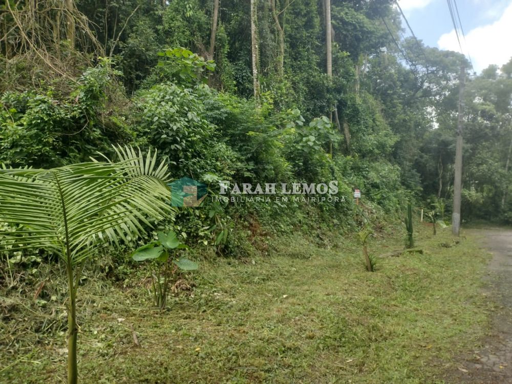 Terreno à venda Centro - 165510-1.jpeg