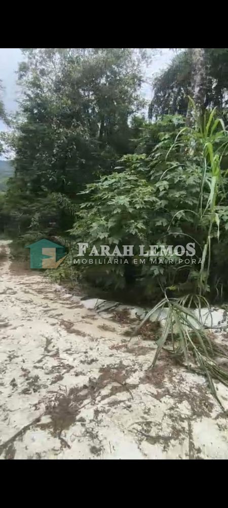 Terreno à venda Centro - 162114-1.jpeg