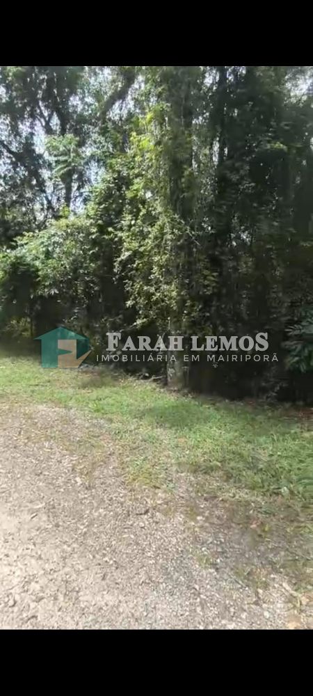 Terreno à venda Centro - 162114-4.jpeg