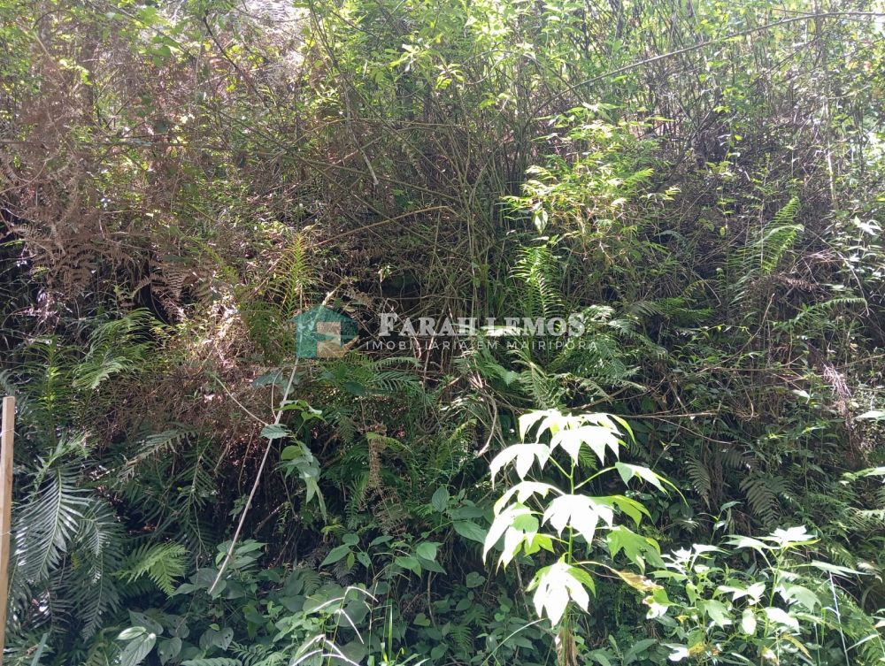 Terreno venda Roseira Mairiporã - Referência MJ0004