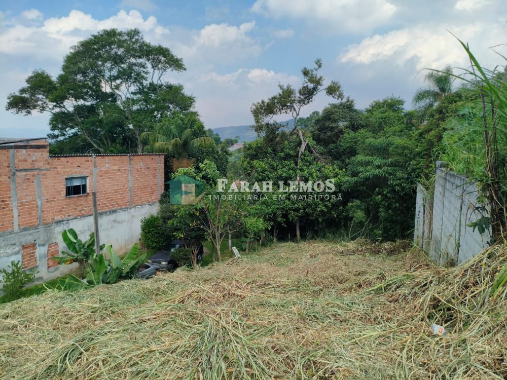 Terreno à venda Capoavinha - 133908-6.jpg