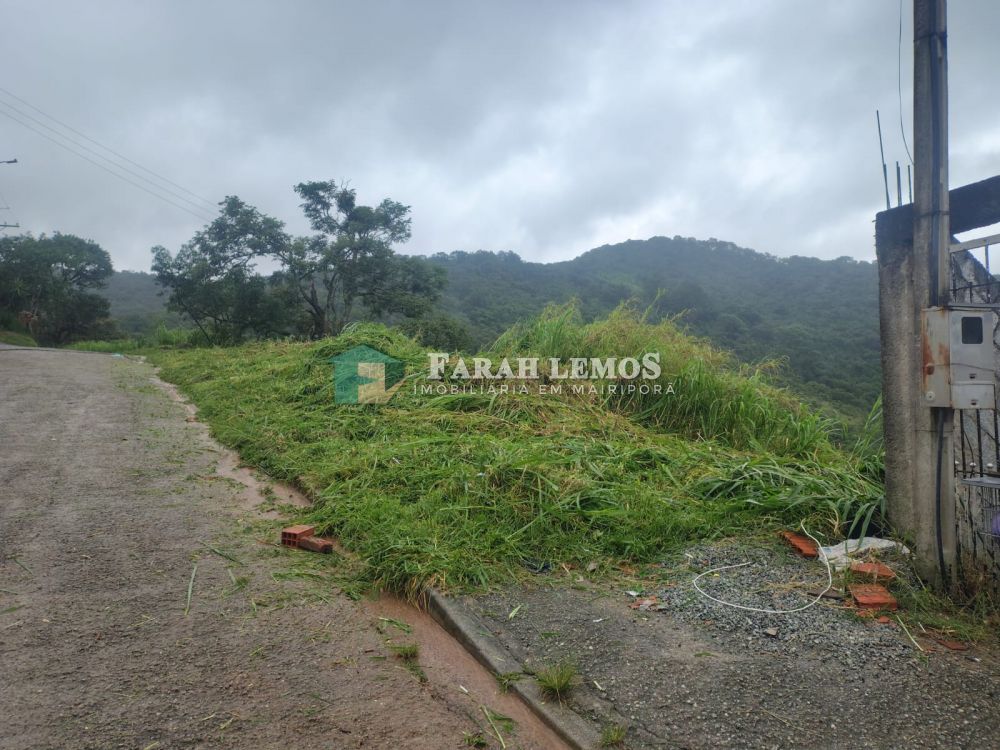 Terreno à venda Luiz Fagundes - 141726-2.jpeg