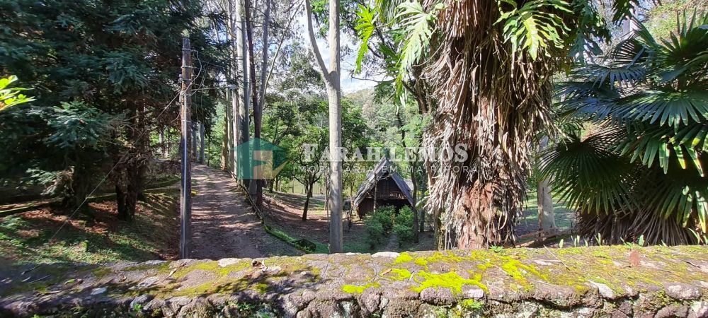 Sítio à venda Rio acima - 163652-32.jpeg