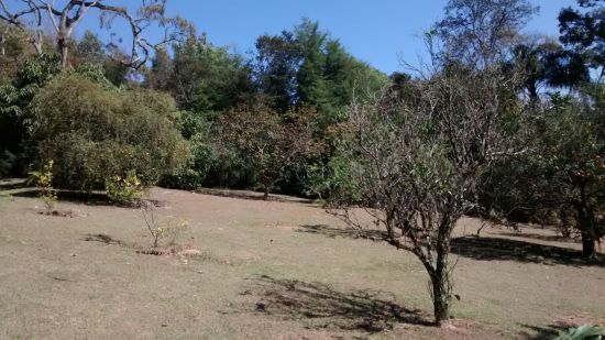 Sítio à venda Mato Dentro - IMG_20150807_112608721.jpg