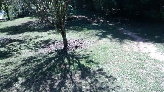 Sítio à venda Mato Dentro - IMG_20150807_112614697.jpg