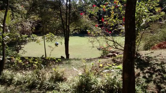 Sítio à venda Mato Dentro - IMG_20150807_114615588.jpg