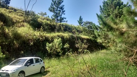 Sítio à venda Terra Preta - IMG_20160203_104707616_HDR.jpg