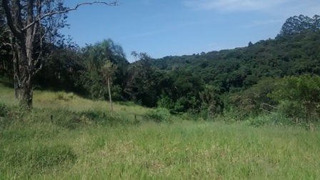 Sítio à venda Terra Preta - IMG_20160203_104952464.jpg