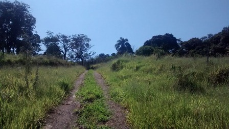 Sítio à venda Terra Preta - IMG_20160203_104957060.jpg