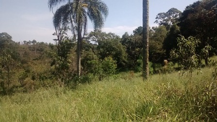 Sítio à venda Terra Preta - IMG_20160203_105136471.jpg