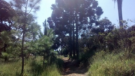 Sítio à venda Terra Preta - IMG_20160203_105152974.jpg