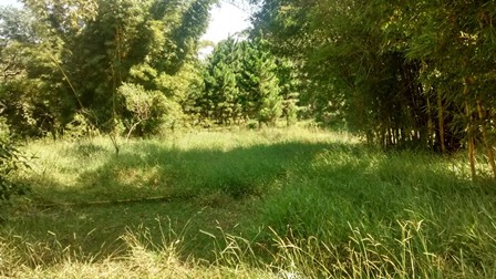 Sítio à venda Terra Preta - IMG_20160203_105349697_HDR.jpg