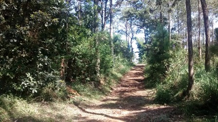 Sítio à venda Terra Preta - IMG_20160203_105449604.jpg