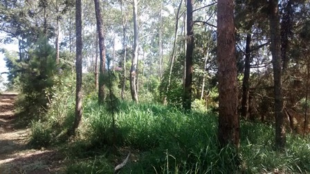 Sítio à venda Terra Preta - IMG_20160203_105457626.jpg