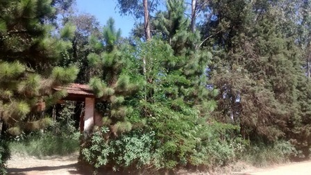 Sítio à venda Terra Preta - IMG_20160203_105834275.jpg