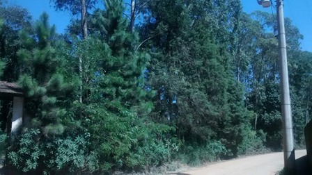 Sítio à venda Terra Preta - IMG_20160203_105838494.jpg