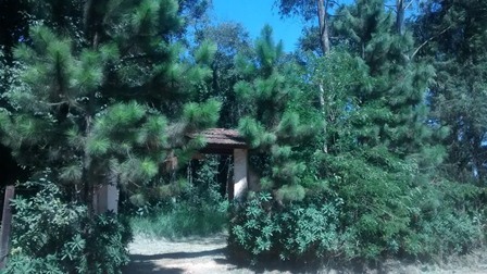 Sítio à venda Terra Preta - IMG_20160203_105842035.jpg